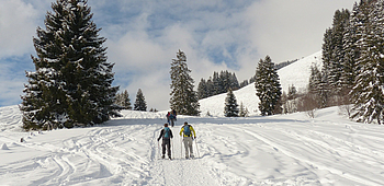 Randonnée raquette, Nax, Vernamiège, Prarion