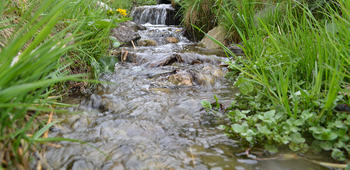 Chemin du Bisse, Nax Région