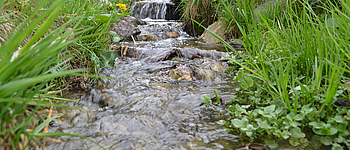 Der Suoneweg alt