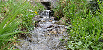 Chemin du Bisse, Nax Région