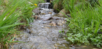 Chemin du Bisse, Nax Région