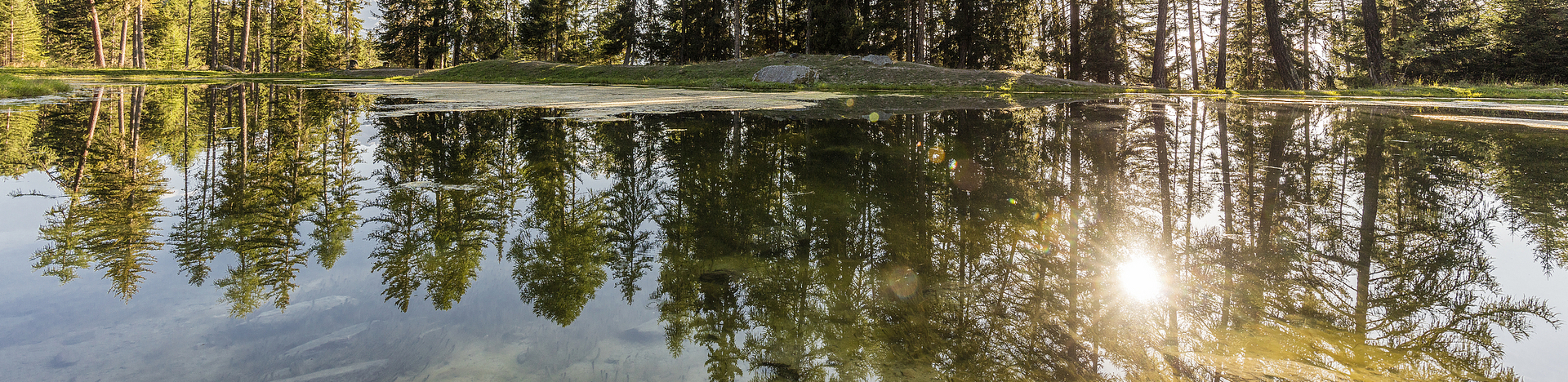 Nax Région, Mont-Noble Visite guidée de Vernamiège, été