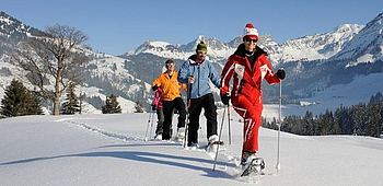 Tsébetta, Pralovin, Snowshoe, forest