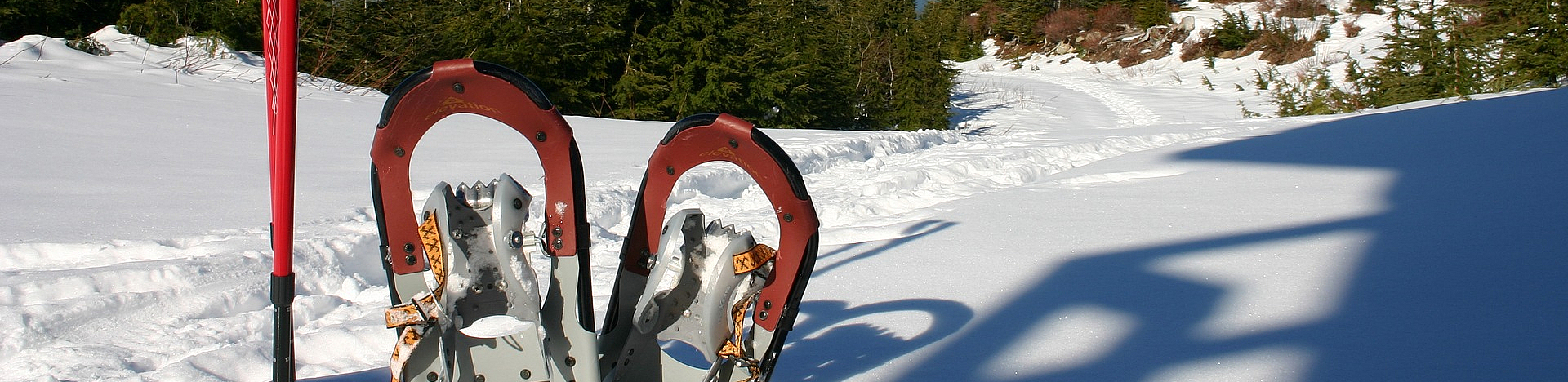 Mont-Noble, Schneeschuhwanderung, schnee, Weg