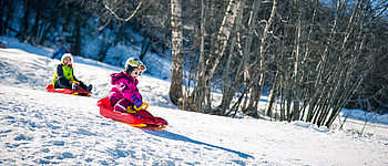 Piste de luge alt