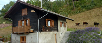 Chalet HENRIETTE 31 in Nax - 3 Zimmer - 1 à 6 Personen alt