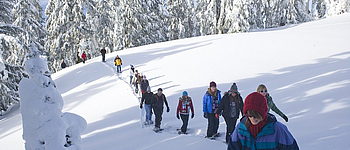 Tsa Crêta -Le Rimble - Direction la Combe - Pralovin alt