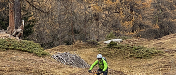 3 Wälder - Rundwegroute alt