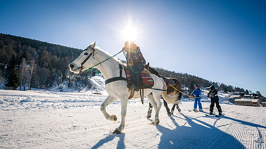 Ski Joering, cheval, Nax, Mont-Noble