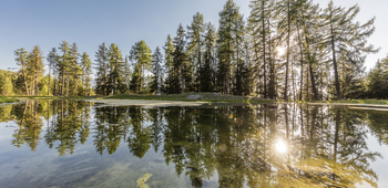 Lac des Gouilles, Vernamiège