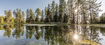 Der Lac des Gouilles alt