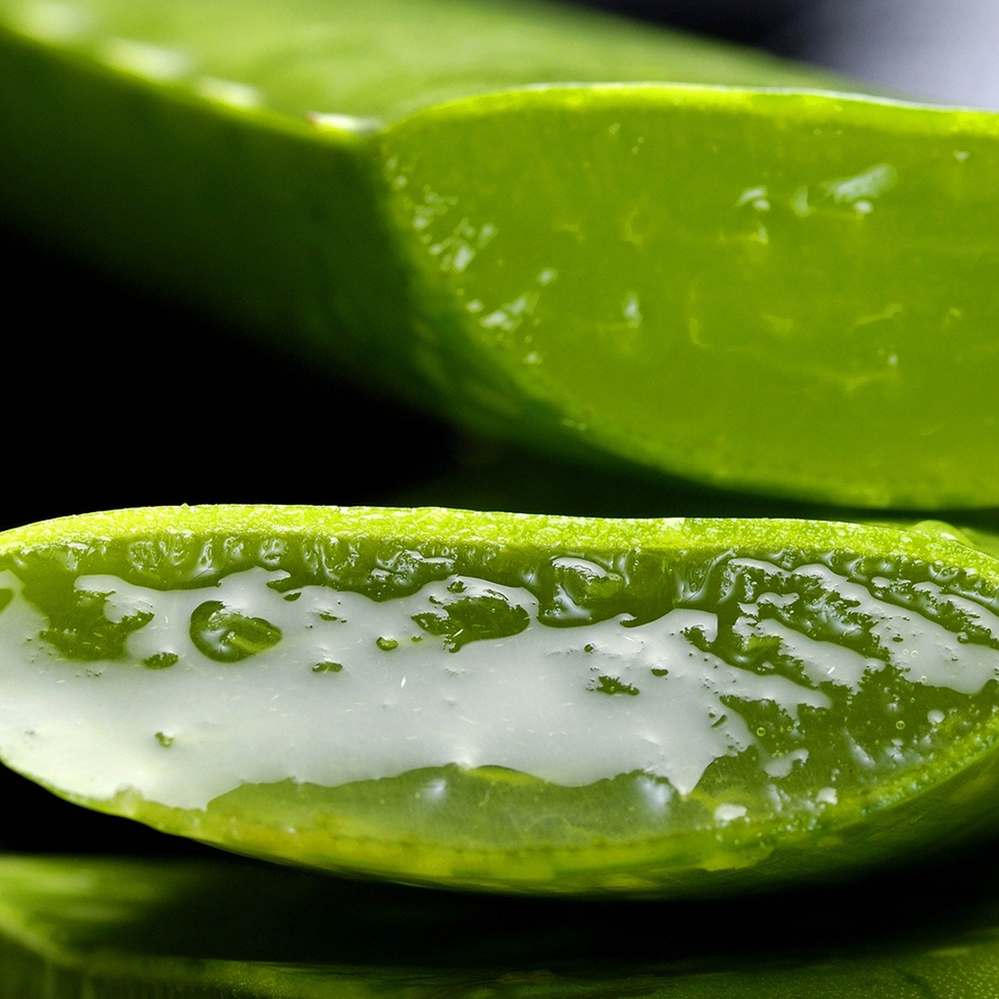 Aloe Vera, J'EM Coiffure, Nax