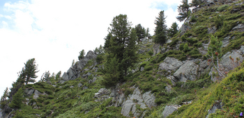 Chemin des charbonniers, Nax Région