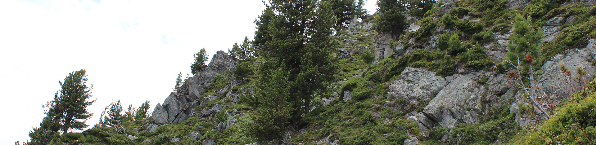 Chemin des charbonniers, Nax Région