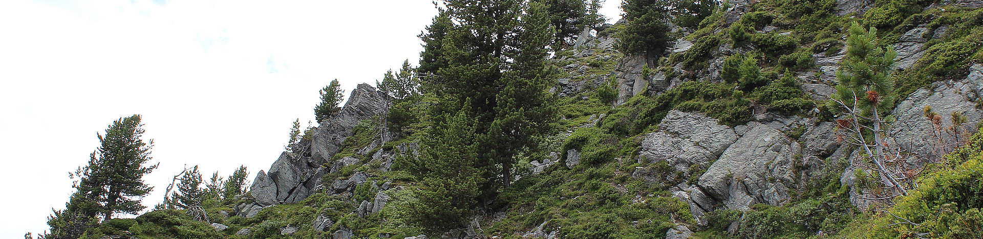 Chemin des charbonniers, Nax Région