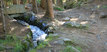 Bisse de Tsa Crêta, Mase, Nax Région